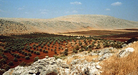 paysage syrie