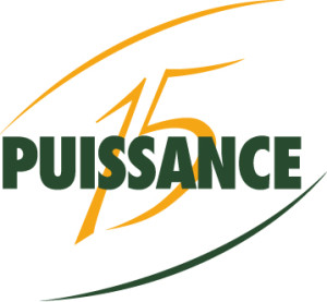 logo puissance 15