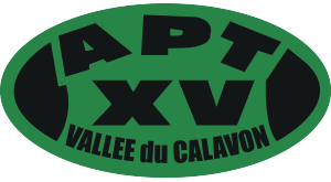 logo apt