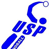 logo us palaiseau