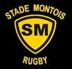 logo stade montois