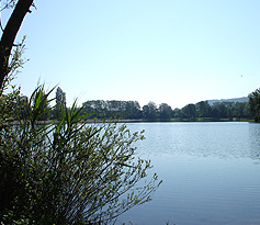 lac venerieu