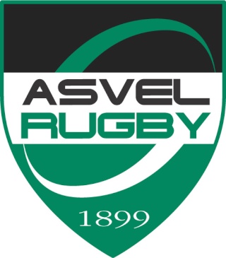 logo asvel