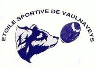 logo vaulanveys