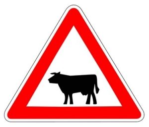 Fotolia_6028832_XS pictogramme vache